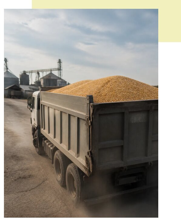 Перевозка сельхозпродукции навалом в Людиново по цене от 3053 р. | Агросервис-Люд